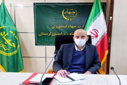 توزیع بالغ بر 8 هزار جو از طریق سامانه مالیار  در بین عشایر لرستان در روزهای آتی