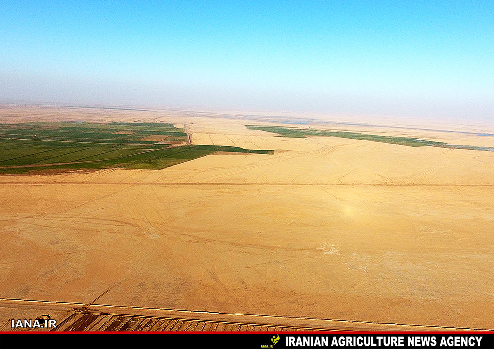 بیابان‌زایی