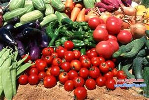 کاهش 25 درصدی محصولات بهاره در نهبندان