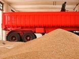 پیش‌بینی تولید بیش از 35 هزار تن گندم در خمین