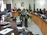برگزاری نشست کمیته فنی استانی تولید و کشت نشاء محصولات زراعی در اراک