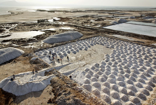 جمع آوری نمک در دریاچه Afrera، در اتیوپی که گفته شده است که داغ ترین محل سکونت در زمین است.