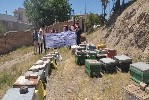 گسترش مهارت‌های کارآفرینی زنان روستایی شهرستان آبیک با آموزش زنبورداری