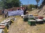 گسترش مهارت‌های کارآفرینی زنان روستایی شهرستان آبیک با آموزش زنبورداری