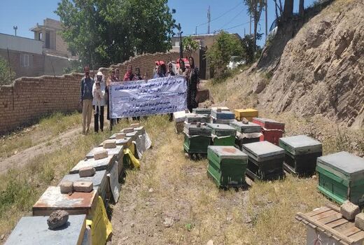 گسترش مهارت‌های کارآفرینی زنان روستایی شهرستان آبیک با آموزش زنبورداری