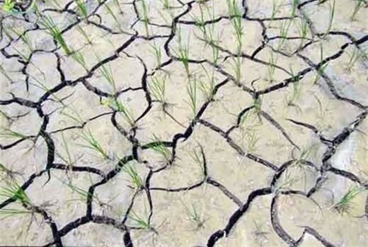 70درصد ایالت مینه‌سوتا به شکل غیر طبیعی خشک است