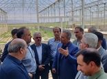 بازدید رییس سازمان جهاد کشاورزی آذربایجان‌غربی از شهرک کشاورزی مهلذان یک شهرستان خوی 