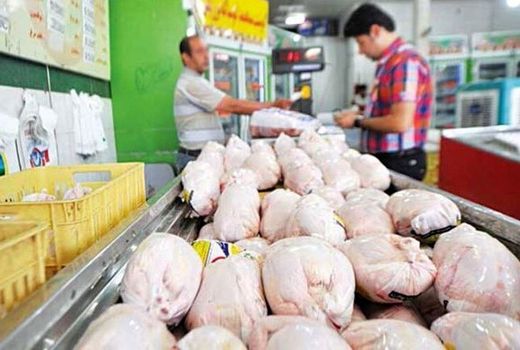 کمبود مرغ در ایلام رفع می‌شود