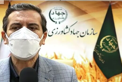 توزیع برنج و مرغ منجمد در فروشگاه‌های کردستان