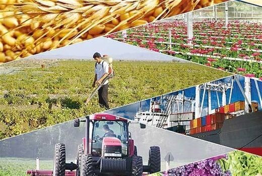 چرخ صنایع تبدیلی و غذایی کشور با قوت در حال حرکت است