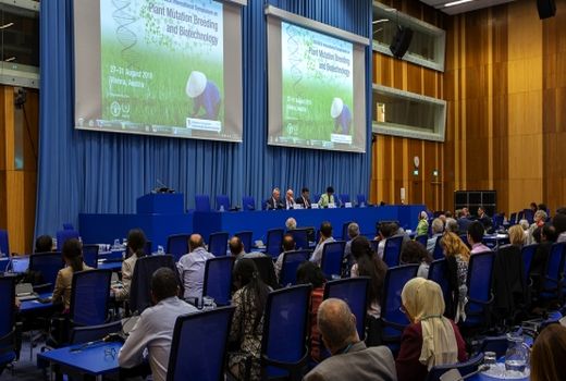  افزایش امنیت غذایی در آسیا با دستکاری ژنتیکی برنج 