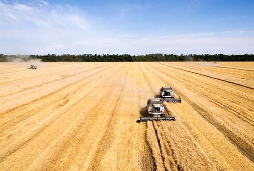 عملیات برداشت غلات در چهارمحال و بختیاری پایان یافت
