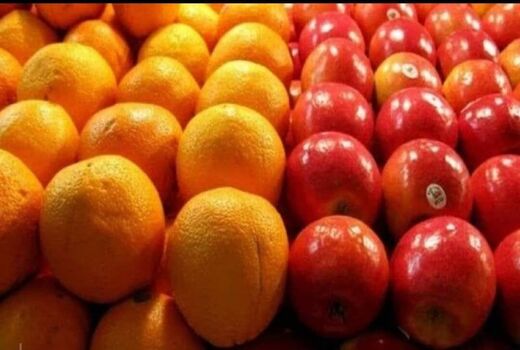 توزیع ۵۶۰ تن سیب و پرتقال تنطیم بازاری در آذربایجان غربی
