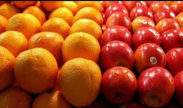 توزیع ۵۶۰ تن سیب و پرتقال تنطیم بازاری در آذربایجان غربی