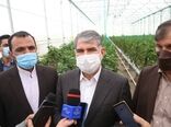 اختصاص 600 میلیارد تومان به بخش کشاورزی در سفر هیات دولت
