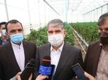اختصاص 600 میلیارد تومان به بخش کشاورزی در سفر هیات دولت