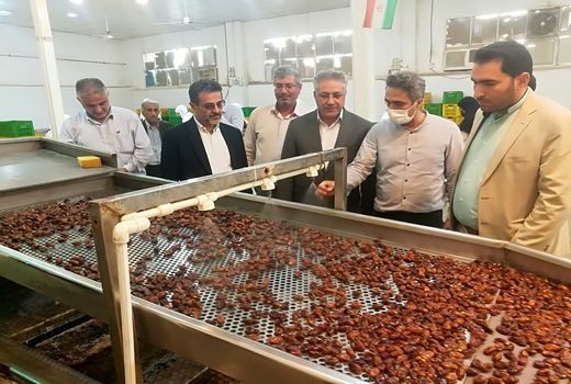 بازدید کمیسیون کشاورزی مجلس  از کارگاههای بسته بندی خرما و نخیلات خوزستان 