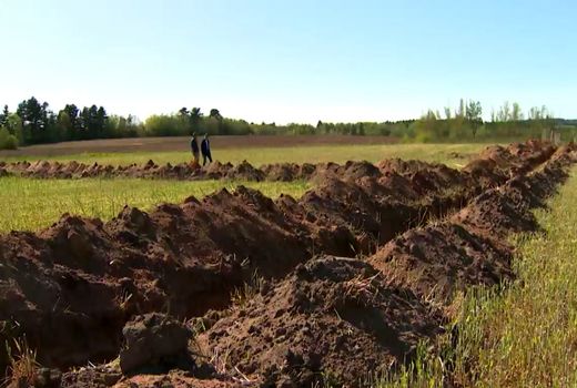 کشاورزان در مناطقی از کانادا با شرایط خشکی غیرعادی روبرو هستند