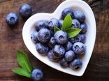 کمبود خاک اسیدی علت اصلی پرورش بلوبری در گلخانه