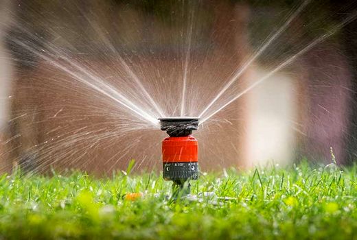 موافقت اصولی با  6 گلخانه سبزی و صیفی 