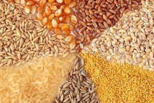 توزیع 338 هزار تن نهاده های دامی در اصفهان
