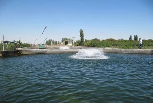 پرداخت ۳۵۰۰ میلیارد ریال تسهیلات سرمایه در گردش به واحدهای بخش کشاورزی استان قزوین