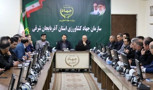 تصمیم راهبردی ستاد کارآمدسازی یارانه‌ها برای تعادل‌بخشی بازار تخم‌مرغ