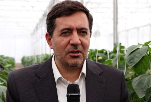 توسعه گلخانه‌ها با تسهیل فضای کسب و کار در فارس