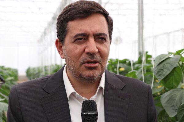 توسعه گلخانه‌ها با تسهیل فضای کسب و کار در فارس