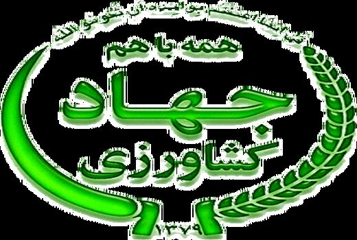 نقش آفرینی زنان روستایی کشورمان در توسعه پایدار مثال زدنی است