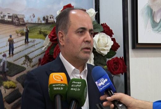 امنیت غذایی کشور با تداوم تولید و همراهی تشکل‌ها حفظ شده است/ خرید گندم با نرخ ۴۸ هزار و ۵۰۰ تومان ادامه دارد