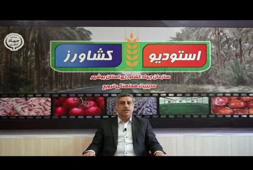 برگزیدگان بخش کشاورزی بوشهر معرفی می‌شوند 
