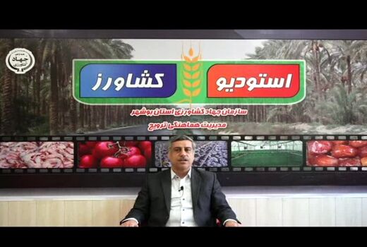برگزیدگان بخش کشاورزی بوشهر معرفی می‌شوند 