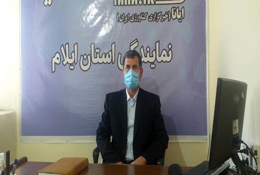 توزیع نهاده‌های دامی به دامداران استان ایلام