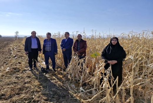 برگزاری رزمایش مبارزه با کرم برگخوار پاییزه در بستان‌آباد به مناسبت هفته پدافند غیرعامل