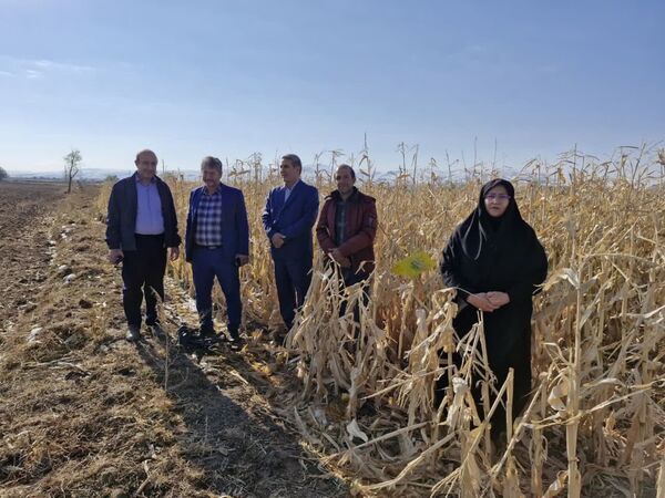 برگزاری رزمایش مبارزه با کرم برگخوار پاییزه در بستان‌آباد به مناسبت هفته پدافند غیرعامل