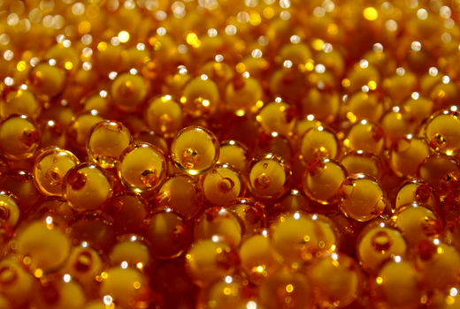 رتبه نخست چهارمحال و بختیاری در تولید خاویار طلایی