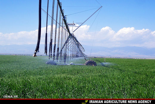 آبیاری نوین 