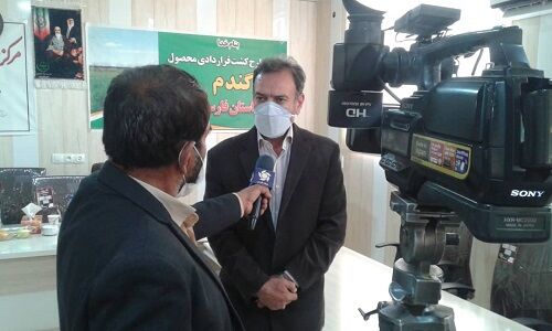 کشت قراردادی گندم مسیری نو برای رونق تولید