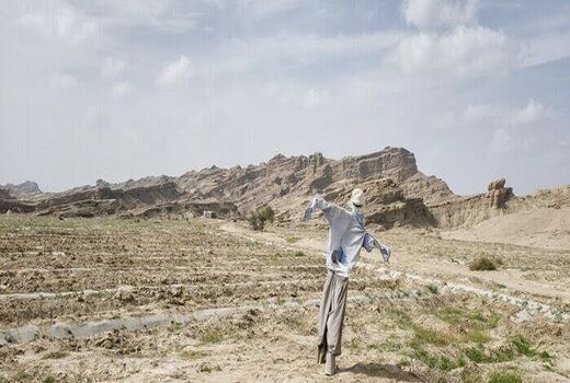 جرائم تسهیلات بانکی برای کشاورزان خسارت دیده از خشکسالی در اصفهان بخشیده شد