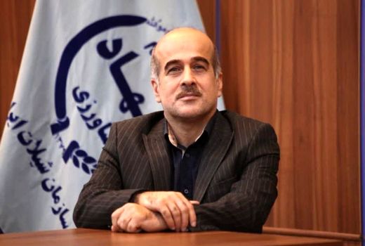  توسعه شیلات در گرو جذب سرمایه و نوسازی ساختارها است/ چشم‌انداز شیلات در آب‌های دور و ظرفیت صادراتی میگو