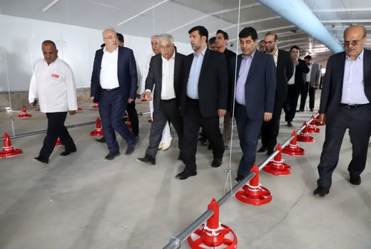 بازدیدآقامیری از زنجیره تامین مرغ گوشتی در شبستر
