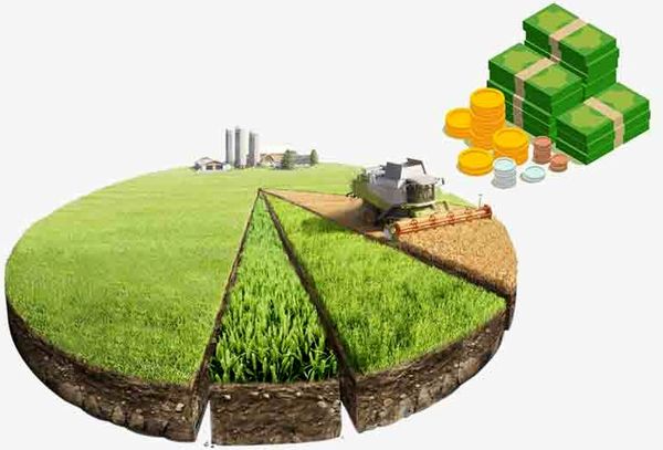 اعطای تسهیلات به بهره برداران بخش کشاورزی بیضا