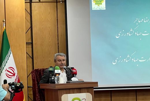 خودکفایی گندم، دستاورد بزرگ وزارت جهاد کشاورزی