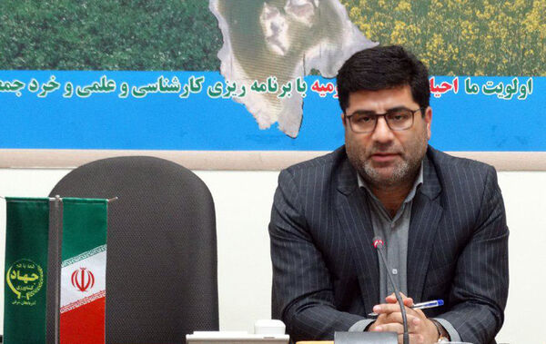 خرید بیش از ۴۵ هزار تن گندم در آذربایجان شرقی