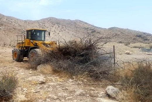 رفع تصرف از 3 هکتار عرصه های منابع طبیعی در قیرو کارزین 