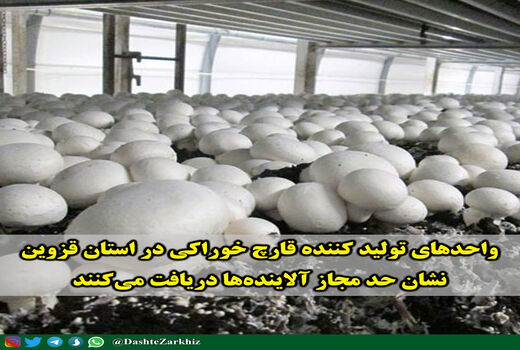 واحدهای تولید کننده قارچ خوراکی در استان قزوین، نشان حد مجاز آلاینده‌ها دریافت می‌کنند