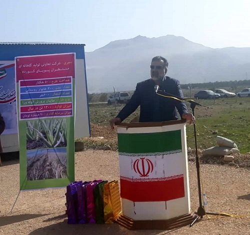 کلنگ‌زنی پروژه شهرک گلخانه‌ای لارستان