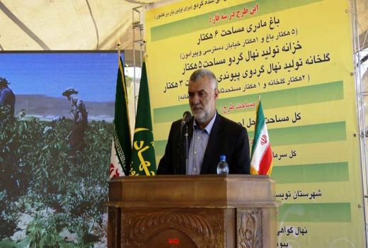 دستیابی ایران به تکنولوژی تولید کشت بافت نهال گردو