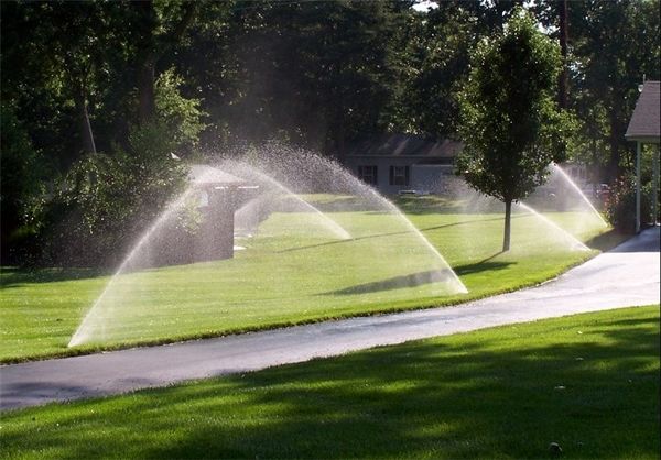 باغ‌ها را نابود کردند تا پارک‌ مصنوعی بسازند